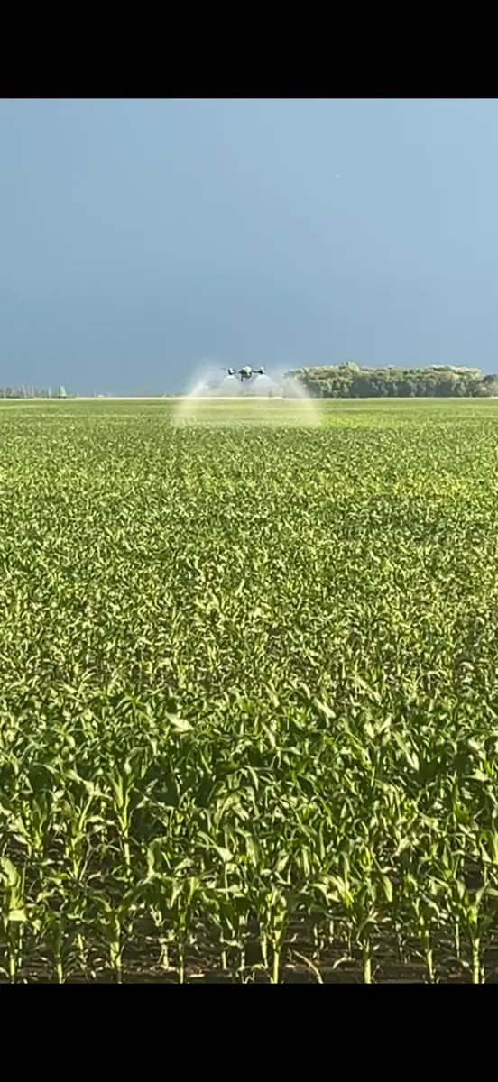 Pro Ag Solutions DJI Agras drone spraying a North Dakota corn field at low altitude
